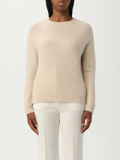 Weekend Max Mara Sweater Woman  In Multi