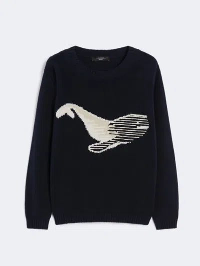 Weekend Max Mara Sweaters In Black