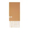 Weekend Max Mara Canossa Cashmere Scarf In Nude
