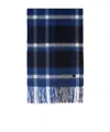 Weekend Max Mara Tassel Scarf In Blue