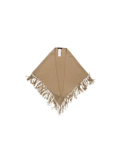 Weekend Max Mara Triangle Shawl In Brown