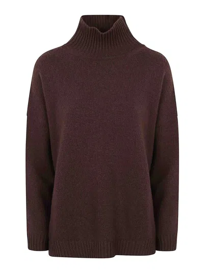 Weekend Max Mara Turtleneck In Brown