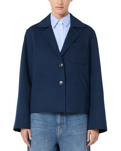 Weekend Max Mara Wkdpelota Wool Blend Collared Sweater In Blue