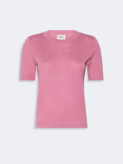 Weekend Max Mara Wkdtapioca Top Bordeaux In Pink