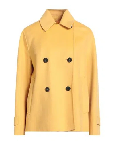 Weekend Max Mara Woman Coat Yellow Size 8 Virgin Wool, Polyamide