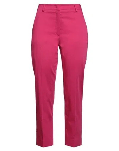 Weekend Max Mara Woman Pants Magenta Size 6 Cotton, Elastane In Purple