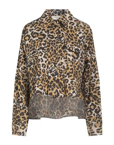 Weekend Max Mara Woman Shirt Beige Size 10 Cotton In Animal Print