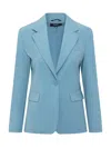Weekend Max Mara Blue Solid Notched Lapel Blazer In Blue