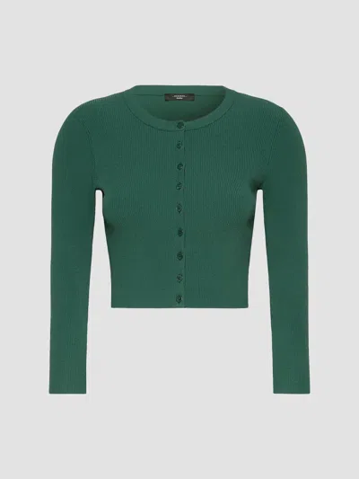 Weekend Max Mara Women's Fine Rib Knit Viscose Yarn Cardigan In Green