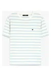 Weekend Max Mara Striped Crewneck T-shirt In Green