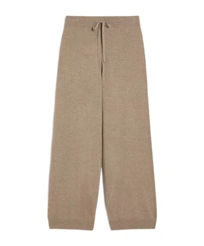 Weekend Max Mara Wool And Cashmere Yarn Trousers - Hazelnut Brown In Multi