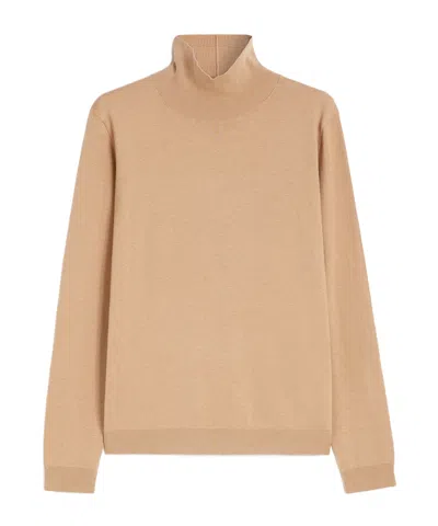Weekend Max Mara Wool And Silk Knit Turtleneck In Brown