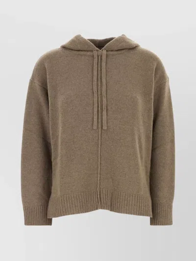 Weekend Max Mara Wool Blend Jerez Sweatshirt Drawstring In Brown