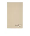 Weekend Max Mara Wool Scarf In Brown