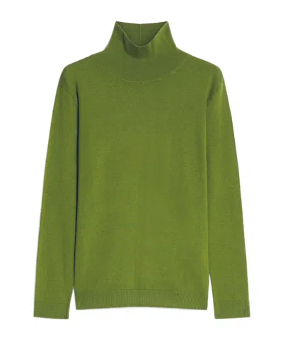 Weekend Max Mara Wool Turtleneck Sweater In Green