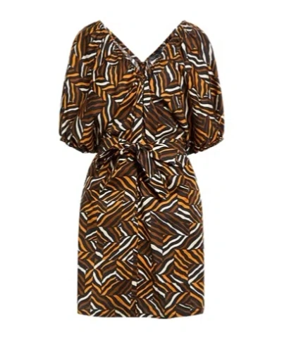 Weekend Max Mara Zebra Print Dress In Multi