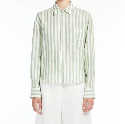 Weekend Nolana In Green