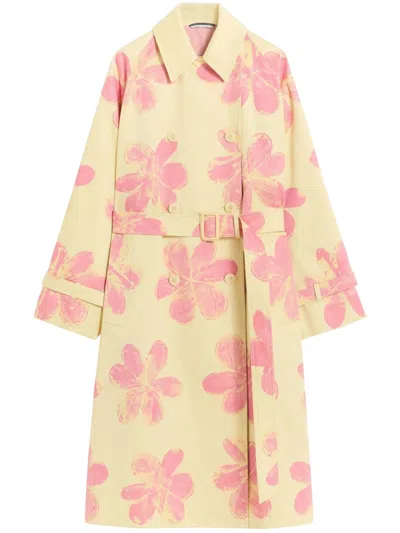 Weekend Wksradioso In Multi