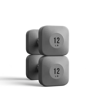 Wegym Progrip Dumbbells - Slate - 12 Lb