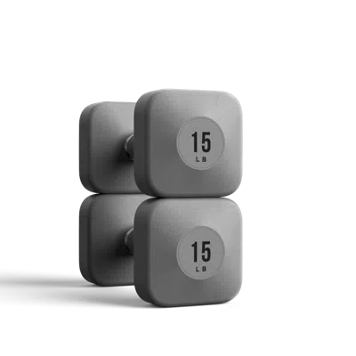 Wegym Progrip Dumbbells - Slate - 15 Lb