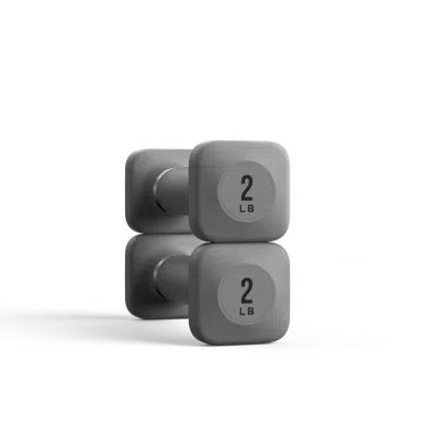 Wegym Progrip Dumbbells - Slate - 2 Lb
