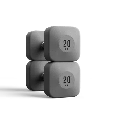 Wegym Progrip Dumbbells - Slate - 20 Lb