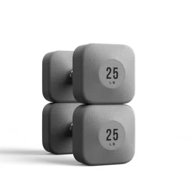Wegym Progrip Dumbbells - Slate - 25 Lb