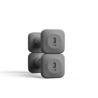 Wegym Progrip Dumbbells - Slate - 3 Lb