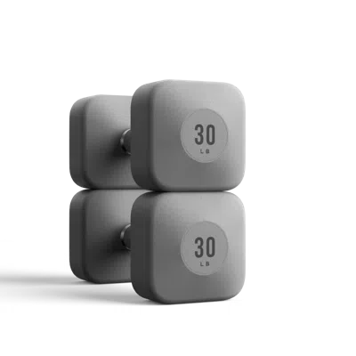 Wegym Progrip Dumbbells - Slate - 30 Lb