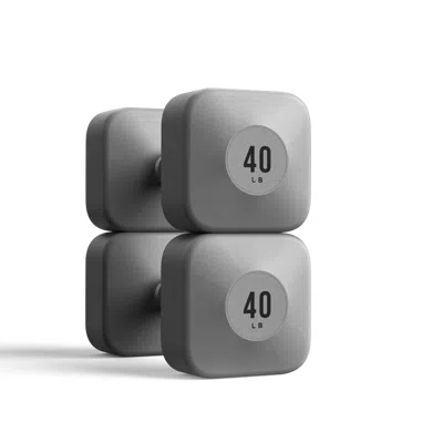 Wegym Progrip Dumbbells - Slate - 40 Lb