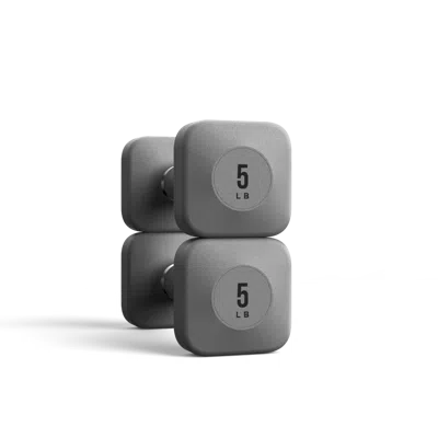 Wegym Progrip Dumbbells - Slate - 5 Lb