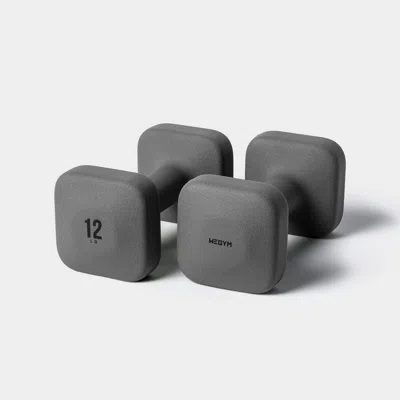 Wegym Safegrip Dumbbells - 12 Lb, Slate In Black
