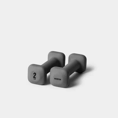 Wegym Safegrip Dumbbells - 2 Lb, Slate In Gray