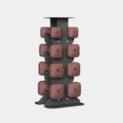 Wegym Safegrip Dumbbells Middle Set With Dark Rack - Rose In Brown