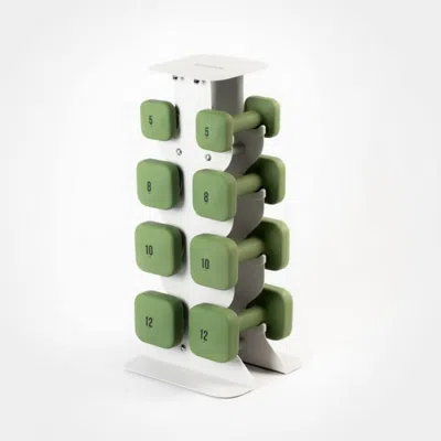 Wegym Safegrip Dumbbells Middle Set With Light Rack - Forest In Green