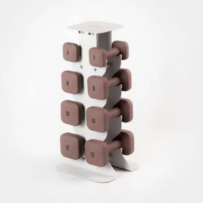 Wegym Safegrip Dumbbells Middle Set With Light Rack - Rose In Multi