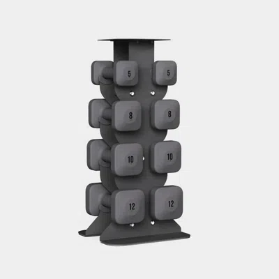 Wegym Safegrip Dumbbells Middle Set With Light Rack - Slate In Gray