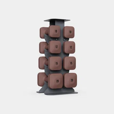 Wegym Safegrip Dumbbells Upper Set With Dark Rack - Rose In Brown