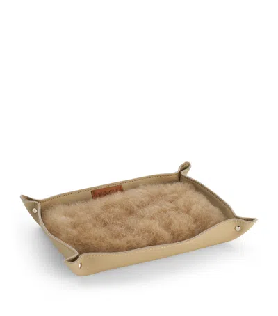 Weich Todo Catchall Tray In Brown