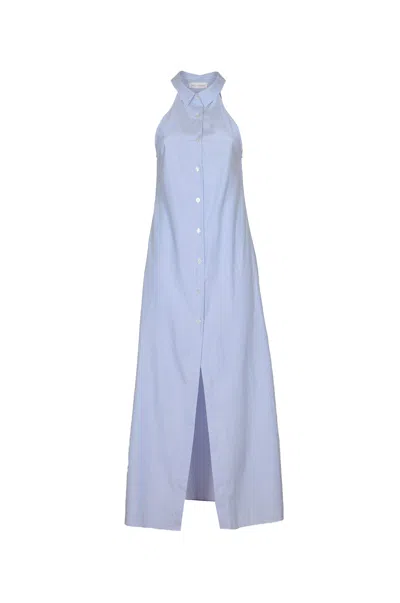 Weili Zheng Sleeveless Long Stripe Shirt Dress In Blue Mini Stripes