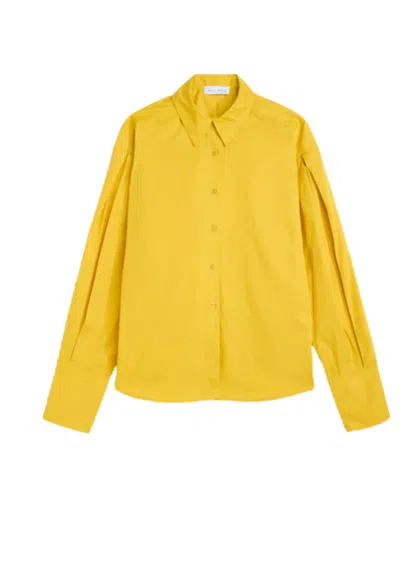 Weili Zheng Woman  Basic In Multi