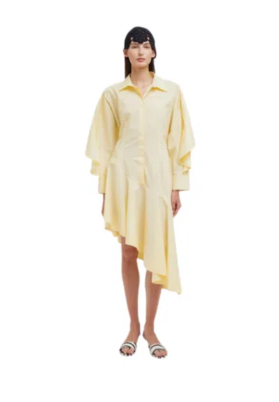 Weili Zheng Women's Dress  Asymmetrical In Yellow