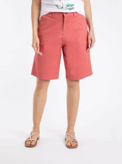 Weird Fish Annalise Knee Length Chino Shorts In Brown