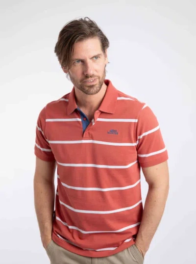 Weird Fish Fabian Striped Pique Polo Shirt In Red