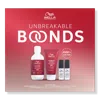 Wella Ultimate Repair Unbreakable Bonds Kit