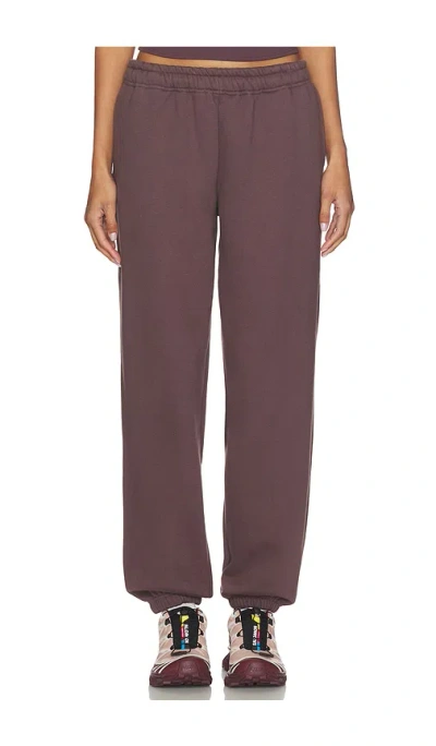 Wellbeing + Beingwell Cooper Jogger In Burgundy
