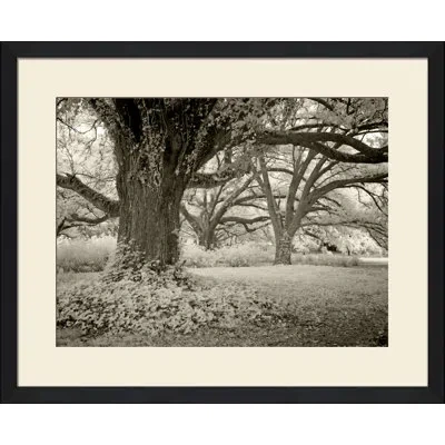 Wendover Art Group A Quiet Place Iii - Picture Frame Photograph On Paper In Black;white
