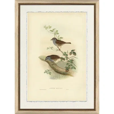 Wendover Art Group Accentor Modularis - Picture Frame Painting On Paper In Brown;green