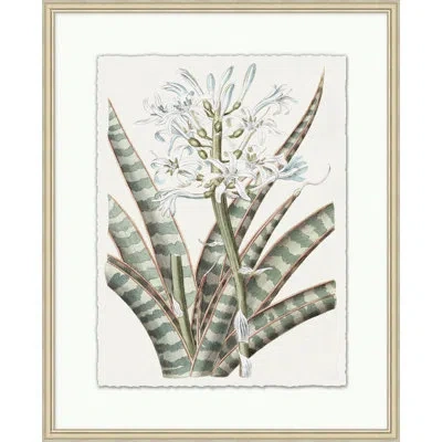 Wendover Art Group Achromatic Fleur 1 - Picture Frame Painting On Paper In White,green