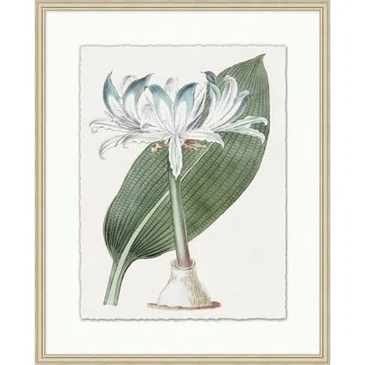 Wendover Art Group Achromatic Fleur 3 - Picture Frame Painting On Paper In White,green